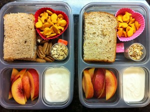 Friday Fav #18-Ziploc Lunch Boxes