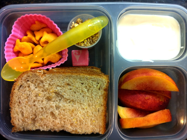 Friday Fav #18-Ziploc Lunch Boxes